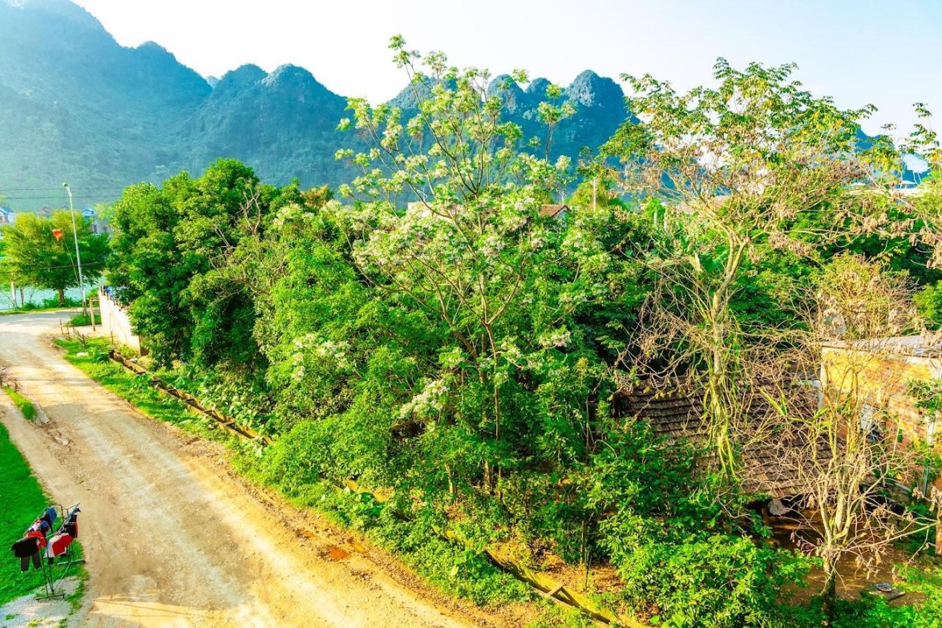 Phong Nha Cherish House Exterior foto